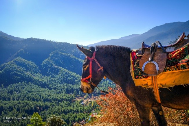 Bhutan - Hành trình sức khỏe và hạnh phúc