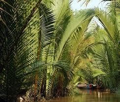 Mỹ Tho - Cần Thơ - Một thoáng miền tây