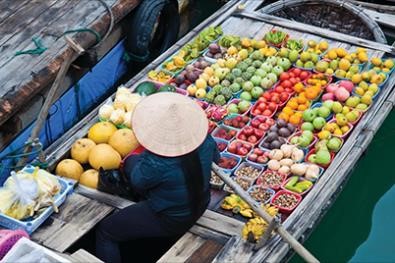 Mỹ Tho - Cần Thơ - Một thoáng miền tây