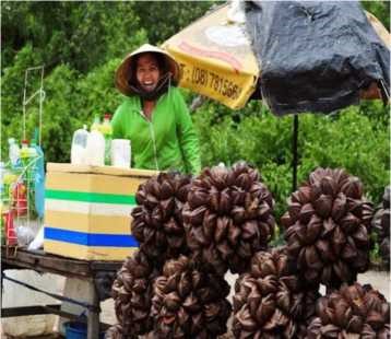 Sài gòn - Châu đốc Vía bà chúa Xứ cầu tài lộc