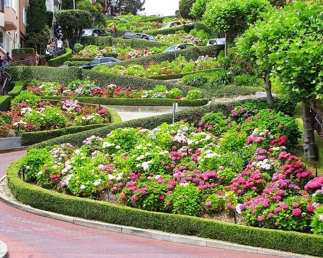 Đường hoa Lombard nổi tiếng với con đường hình sin