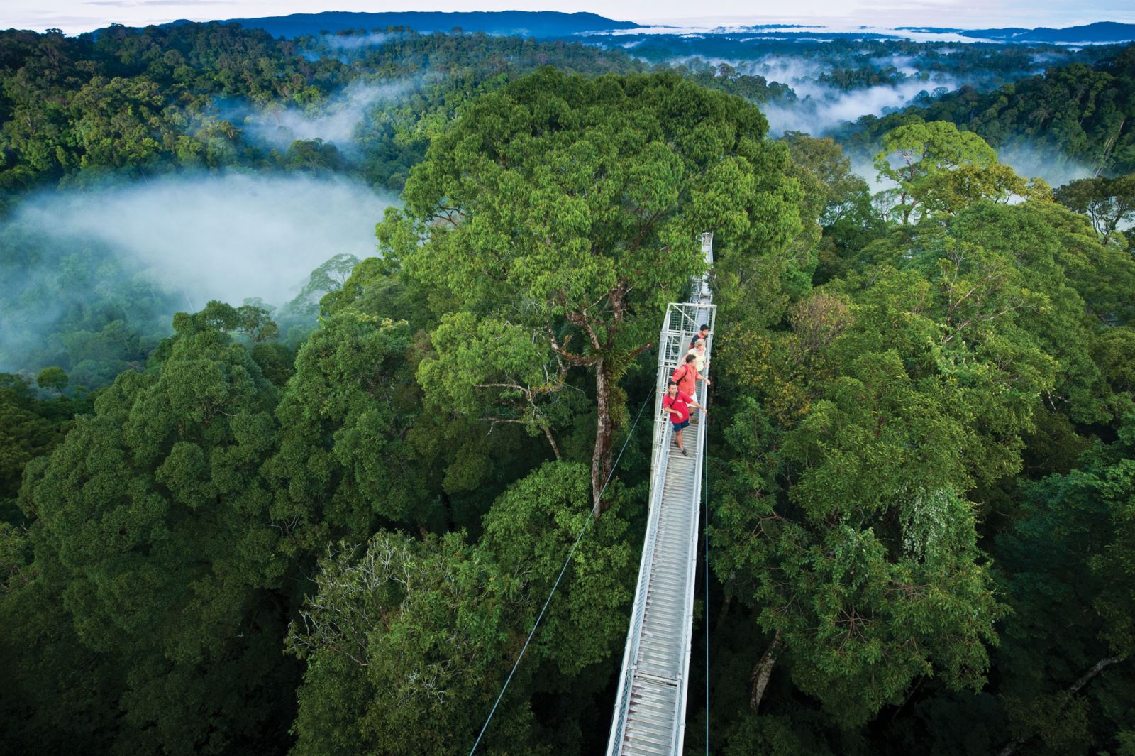 Vườn Quốc Gia Ulu Temburong