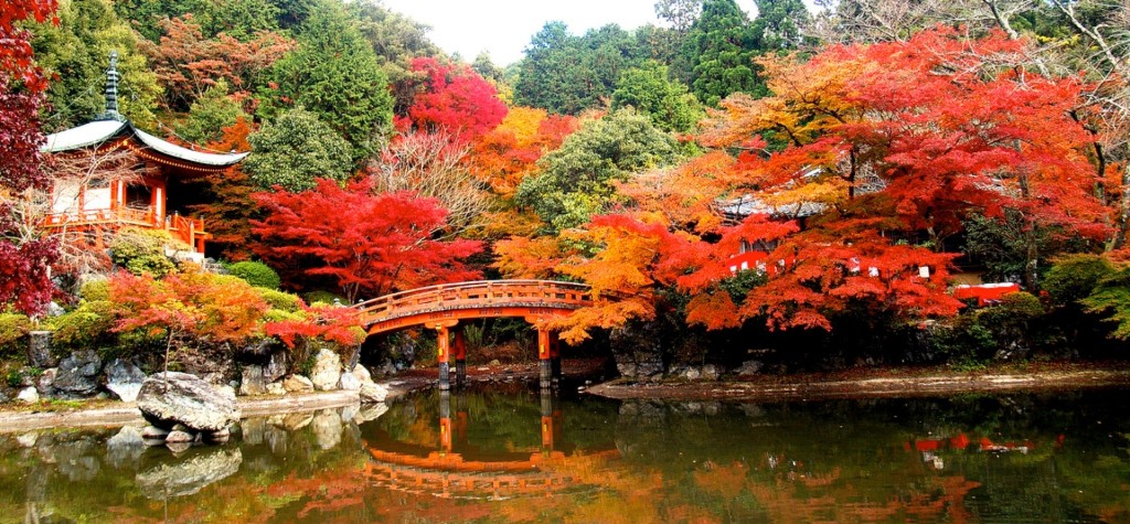 mùa lá đỏ Nhật Bản - kinh nghiệm du lịch Nhật Bản mùa thu
