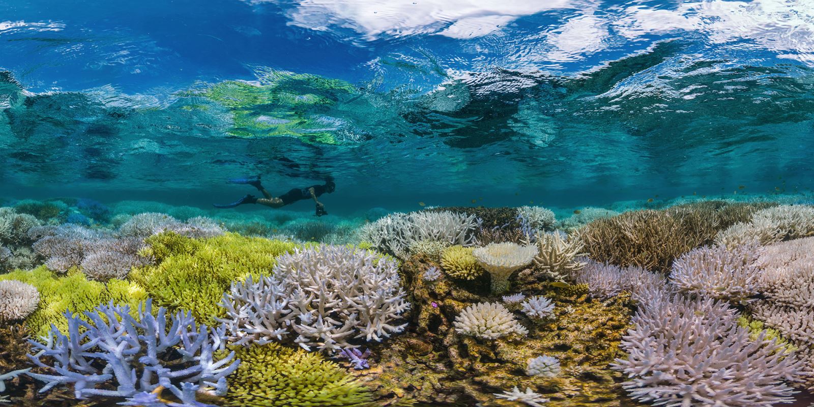 đảo Corals - Du lịch Thái Lan - Khanhtravel.com